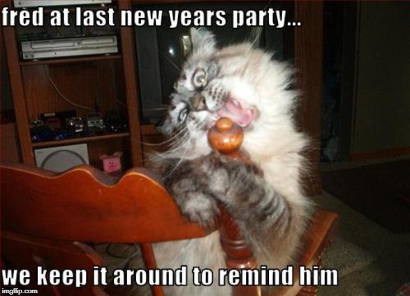 Fred last New year's | image tagged in new years eve,raucous behavior,stoned cat,cat humor | made w/ Imgflip meme maker