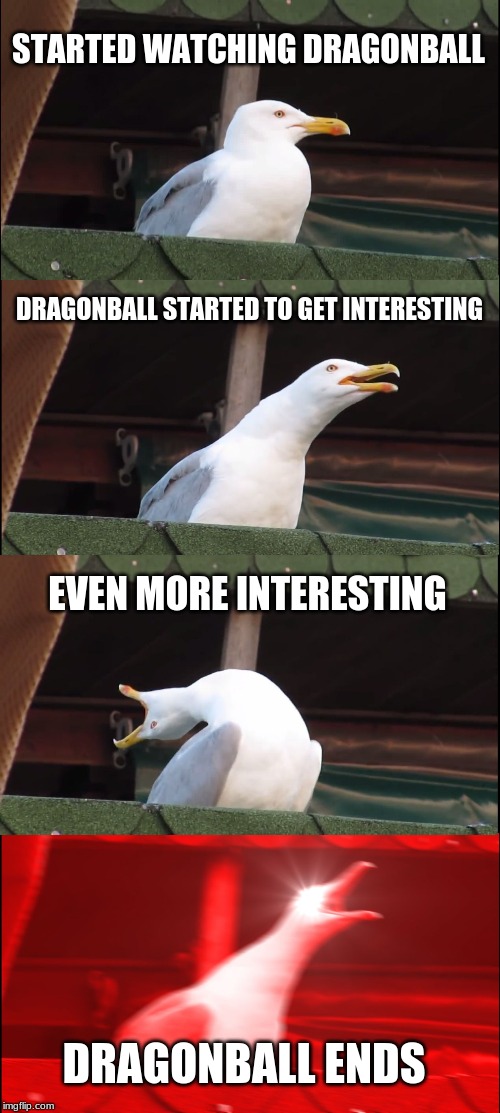 Inhaling Seagull Meme | STARTED WATCHING DRAGONBALL; DRAGONBALL STARTED TO GET INTERESTING; EVEN MORE INTERESTING; DRAGONBALL ENDS | image tagged in memes,inhaling seagull | made w/ Imgflip meme maker