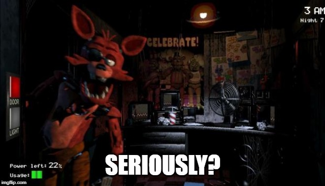 Foxy Five Nights at Freddy's | SERIOUSLY? | image tagged in foxy five nights at freddy's | made w/ Imgflip meme maker