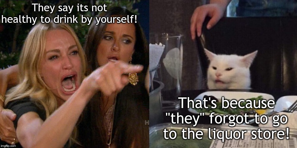 Woman yelling at cat | They say its not healthy to drink by yourself! That's because "they" forgot to go to the liquor store! | image tagged in woman yelling at cat | made w/ Imgflip meme maker