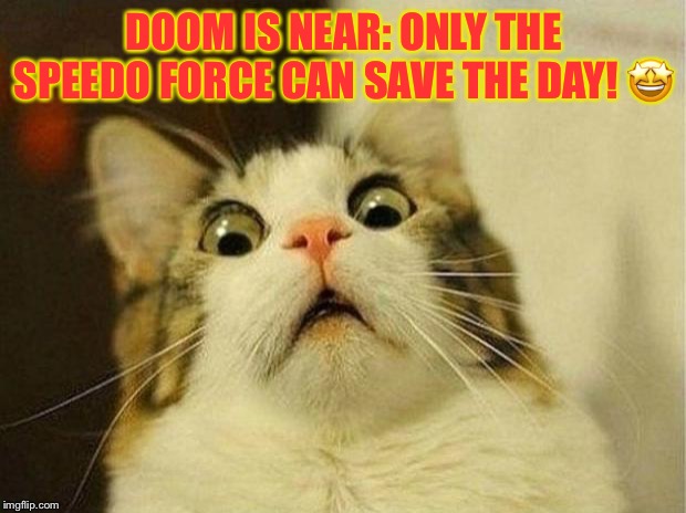 Scared Cat | DOOM IS NEAR: ONLY THE SPEEDO FORCE CAN SAVE THE DAY! 🤩 | image tagged in memes,scared cat | made w/ Imgflip meme maker