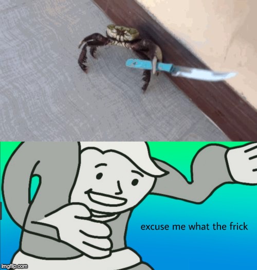 My first multi panel meme | image tagged in knife wielding crab,excuse me what the frick | made w/ Imgflip meme maker