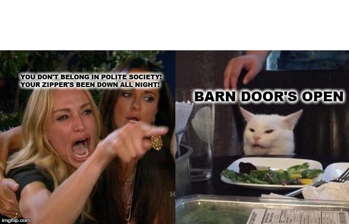 Woman Yelling At Cat | YOU DON'T BELONG IN POLITE SOCIETY!
YOUR ZIPPER'S BEEN DOWN ALL NIGHT! BARN DOOR'S OPEN | image tagged in memes,woman yelling at cat | made w/ Imgflip meme maker