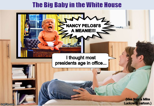 The Big Baby in the White House | image tagged in donald trump,trump,nancy pelosi,politics,memes,funny | made w/ Imgflip meme maker