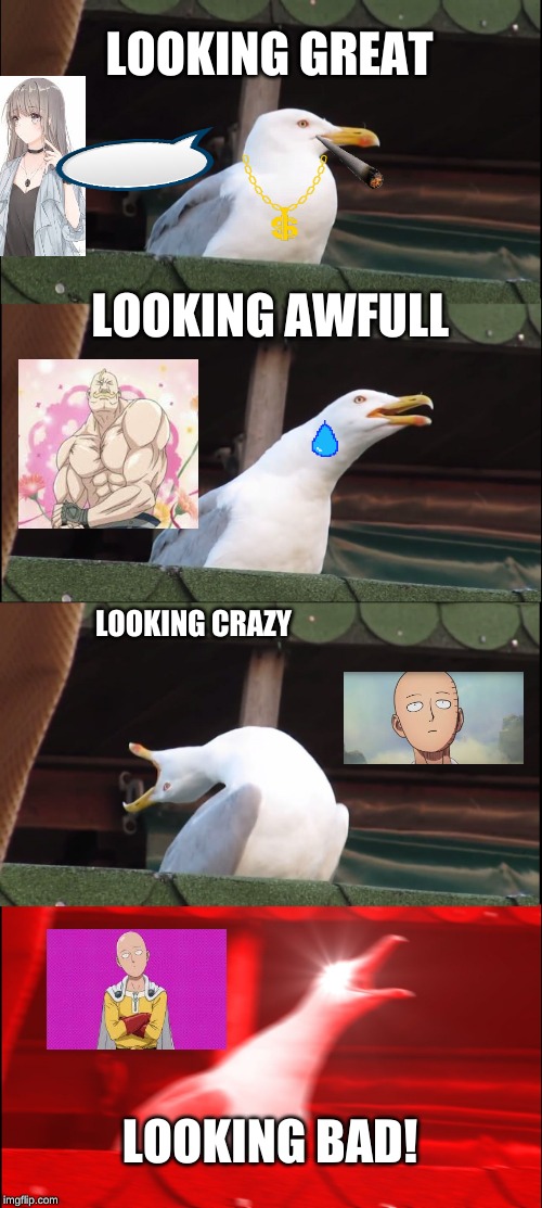 Inhaling Seagull | LOOKING GREAT; LOOKING AWFULL; LOOKING CRAZY; LOOKING BAD! | image tagged in memes,inhaling seagull | made w/ Imgflip meme maker