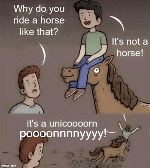 Why do you ride a horse like that? | poooonnnnyyyy! | image tagged in why do you ride a horse like that | made w/ Imgflip meme maker