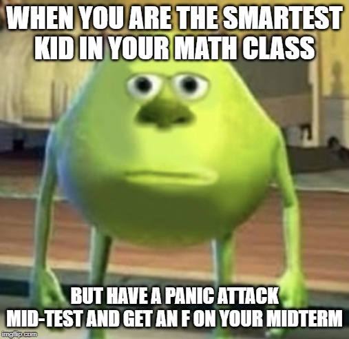 Mike Wazowski Face Swap | WHEN YOU ARE THE SMARTEST KID IN YOUR MATH CLASS; BUT HAVE A PANIC ATTACK MID-TEST AND GET AN F ON YOUR MIDTERM | image tagged in mike wazowski face swap | made w/ Imgflip meme maker