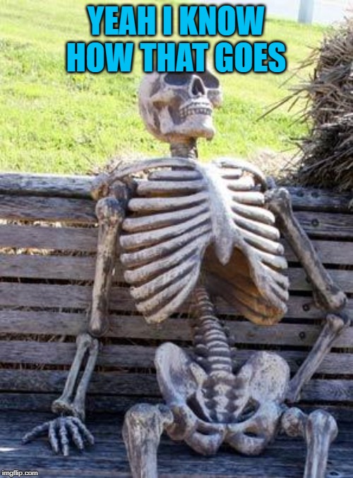Waiting Skeleton Meme | YEAH I KNOW HOW THAT GOES | image tagged in memes,waiting skeleton | made w/ Imgflip meme maker