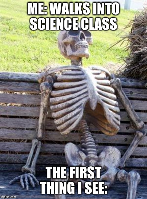 Waiting Skeleton | ME: WALKS INTO SCIENCE CLASS; THE FIRST THING I SEE: | image tagged in memes,waiting skeleton | made w/ Imgflip meme maker