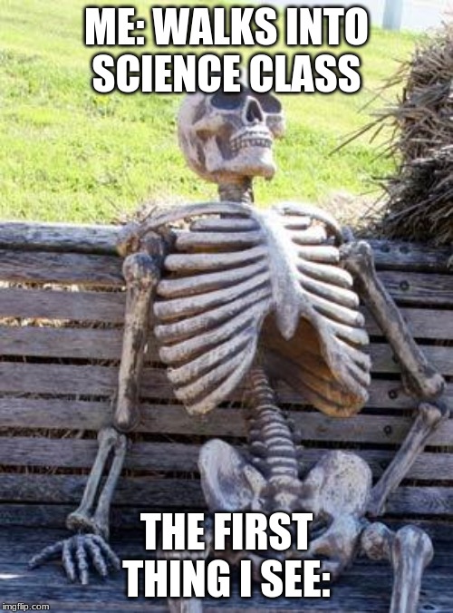 Waiting Skeleton Meme | ME: WALKS INTO SCIENCE CLASS; THE FIRST THING I SEE: | image tagged in memes,waiting skeleton | made w/ Imgflip meme maker