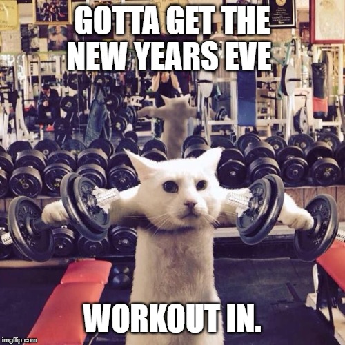 Gym Cat | GOTTA GET THE NEW YEARS EVE WORKOUT IN. | image tagged in gym cat | made w/ Imgflip meme maker