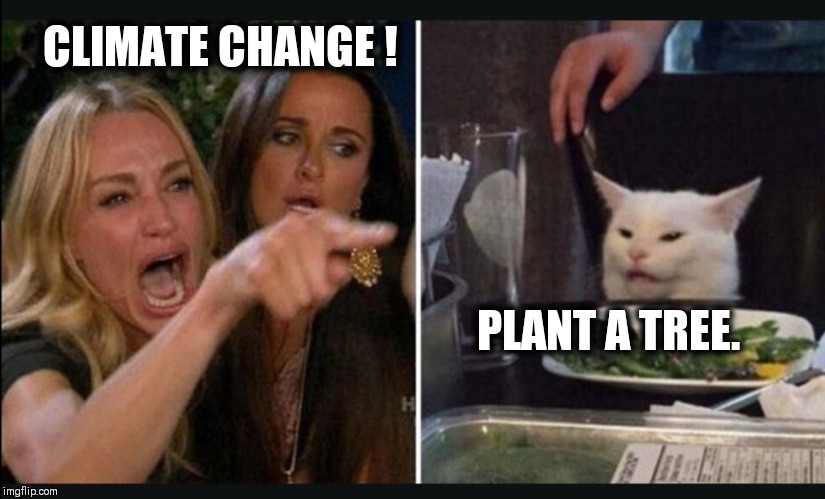 Cracker cat | CLIMATE CHANGE ! PLANT A TREE. | image tagged in cracker cat | made w/ Imgflip meme maker