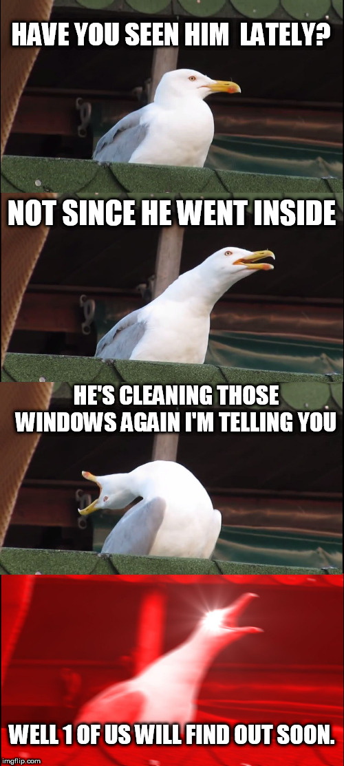 MY NOSE STILL HURTS FROM THAT BACK DOOR! | HAVE YOU SEEN HIM  LATELY? NOT SINCE HE WENT INSIDE; HE'S CLEANING THOSE WINDOWS AGAIN I'M TELLING YOU; WELL 1 OF US WILL FIND OUT SOON. | image tagged in memes,inhaling seagull,smash  glass,bird  window  bonk,clean  glass time | made w/ Imgflip meme maker