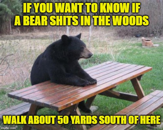 Discovering Nature | IF YOU WANT TO KNOW IF A BEAR SHITS IN THE WOODS; WALK ABOUT 50 YARDS SOUTH OF HERE | image tagged in memes,bad luck bear,funny memes,bear | made w/ Imgflip meme maker