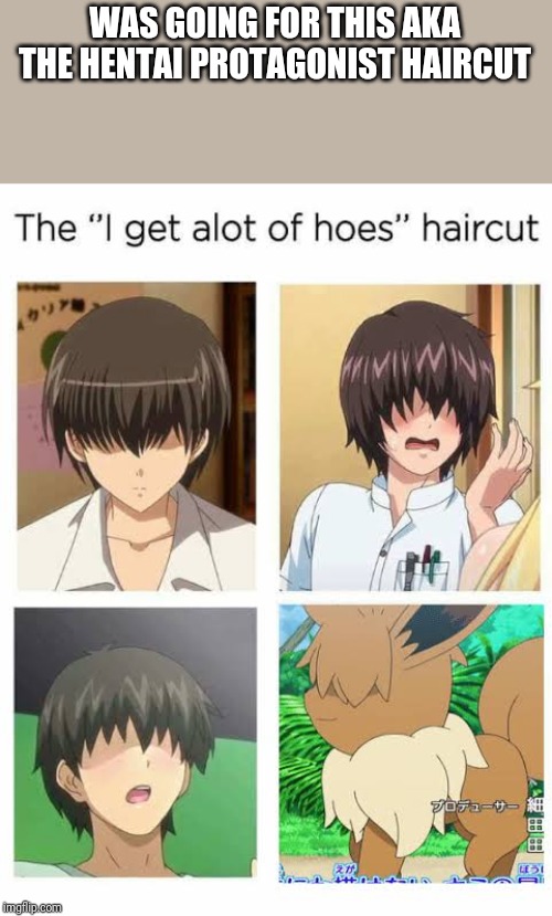 WAS GOING FOR THIS AKA THE HENTAI PROTAGONIST HAIRCUT | made w/ Imgflip meme maker