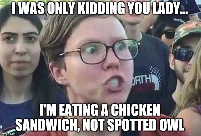Triggered Liberal | I WAS ONLY KIDDING YOU LADY... I'M EATING A CHICKEN SANDWICH, NOT SPOTTED OWL | image tagged in triggered liberal | made w/ Imgflip meme maker