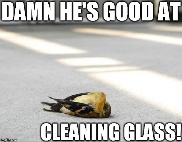 DAMN HE'S GOOD AT CLEANING GLASS! | made w/ Imgflip meme maker