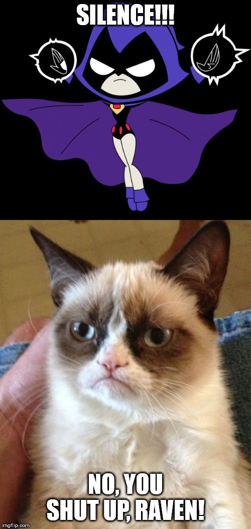 SILENCE!!! NO, YOU SHUT UP, RAVEN! | image tagged in memes,grumpy cat,teen titans go raven | made w/ Imgflip meme maker