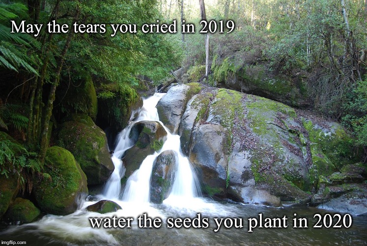 Tears water seeds | May the tears you cried in 2019; water the seeds you plant in 2020 | image tagged in happy new year,tears,seeds | made w/ Imgflip meme maker