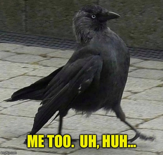 Bird strut | ME TOO.  UH, HUH... | image tagged in bird strut | made w/ Imgflip meme maker