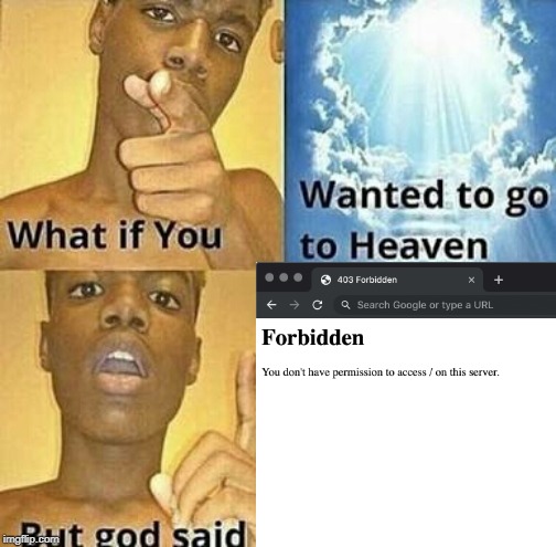 image tagged in what if you wanted to go to heaven | made w/ Imgflip meme maker