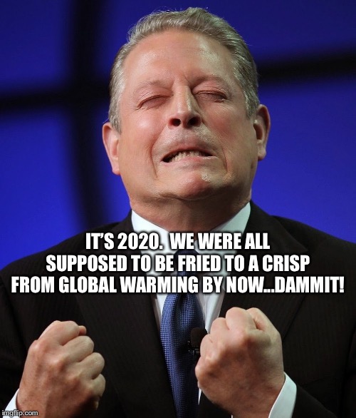 Al gore | IT’S 2020.  WE WERE ALL SUPPOSED TO BE FRIED TO A CRISP FROM GLOBAL WARMING BY NOW...DAMMIT! | image tagged in al gore | made w/ Imgflip meme maker
