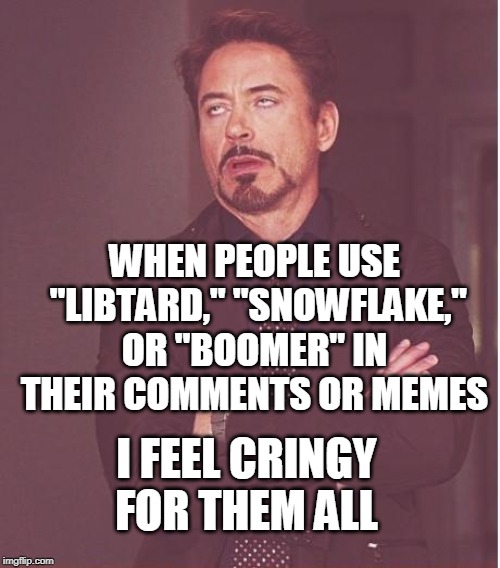 Face You Make Robert Downey Jr Meme | WHEN PEOPLE USE
 "LIBTARD," "SNOWFLAKE," OR "BOOMER" IN THEIR COMMENTS OR MEMES I FEEL CRINGY FOR THEM ALL | image tagged in memes,face you make robert downey jr | made w/ Imgflip meme maker