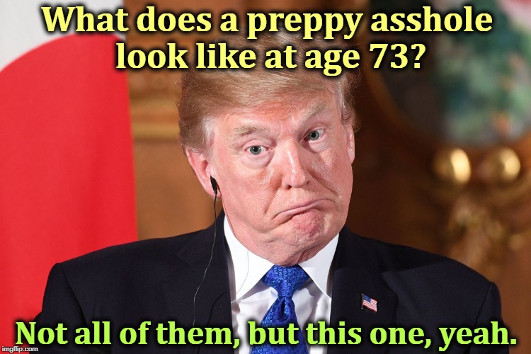 Trump dumbfounded corrected | What does a preppy asshole 
look like at age 73? Not all of them, but this one, yeah. | image tagged in trump dumbfounded corrected,trump,idiot,fool,incompetent,corrupt | made w/ Imgflip meme maker