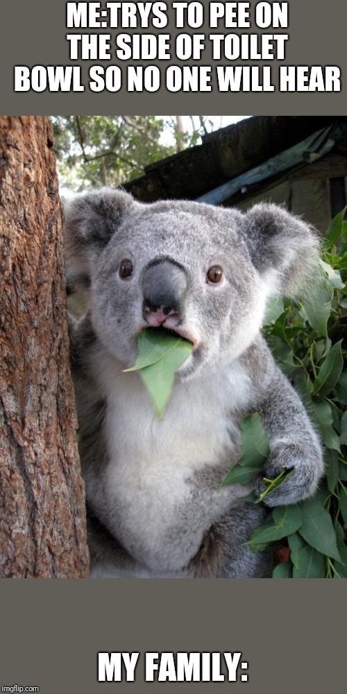 Surprised Koala Meme | ME:TRYS TO PEE ON THE SIDE OF TOILET BOWL SO NO ONE WILL HEAR; MY FAMILY: | image tagged in memes,surprised koala | made w/ Imgflip meme maker