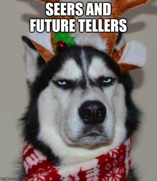 annoyed dog | SEERS AND FUTURE TELLERS | image tagged in annoyed dog | made w/ Imgflip meme maker