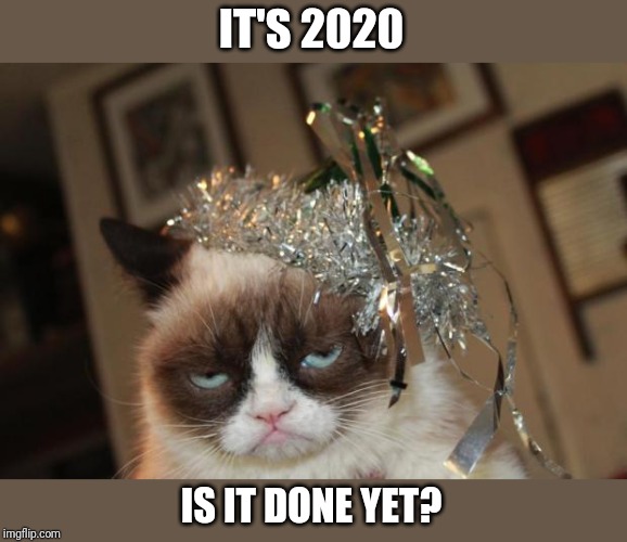 Grumpy Cat New Years | IT'S 2020; IS IT DONE YET? | image tagged in grumpy cat new years | made w/ Imgflip meme maker