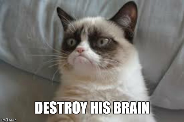 Grumpy cat | DESTROY HIS BRAIN | image tagged in grumpy cat | made w/ Imgflip meme maker