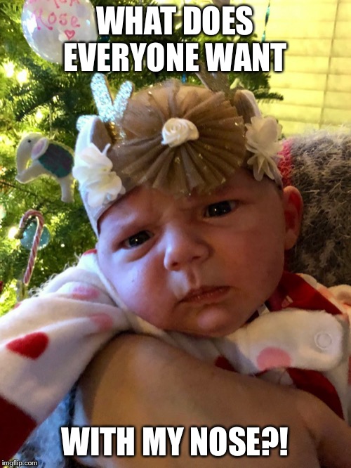 Confused af Baby | WHAT DOES EVERYONE WANT; WITH MY NOSE?! | image tagged in confused af baby | made w/ Imgflip meme maker