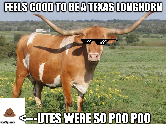 Longhorn cattle | FEELS GOOD TO BE A TEXAS LONGHORN; <---UTES WERE SO POO POO | image tagged in longhorn cattle | made w/ Imgflip meme maker