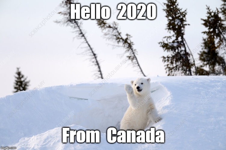 Hello from Canada | Hello  2020; From  Canada | image tagged in hello from canada | made w/ Imgflip meme maker