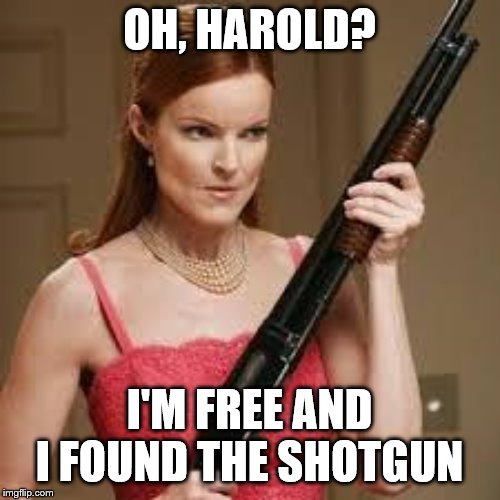 wife with a shotgun | OH, HAROLD? I'M FREE AND I FOUND THE SHOTGUN | image tagged in wife with a shotgun | made w/ Imgflip meme maker