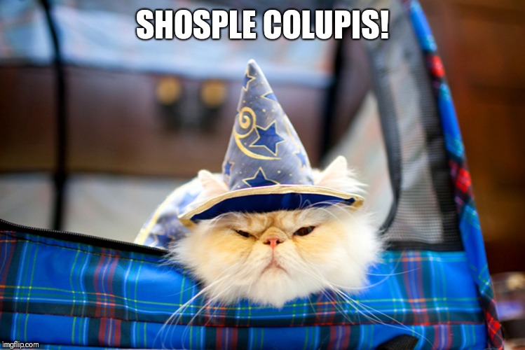 WIZARD CAT | SHOSPLE COLUPIS! | image tagged in wizard cat | made w/ Imgflip meme maker