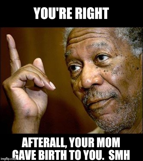 This Morgan Freeman | YOU'RE RIGHT AFTERALL, YOUR MOM GAVE BIRTH TO YOU.  SMH | image tagged in this morgan freeman | made w/ Imgflip meme maker