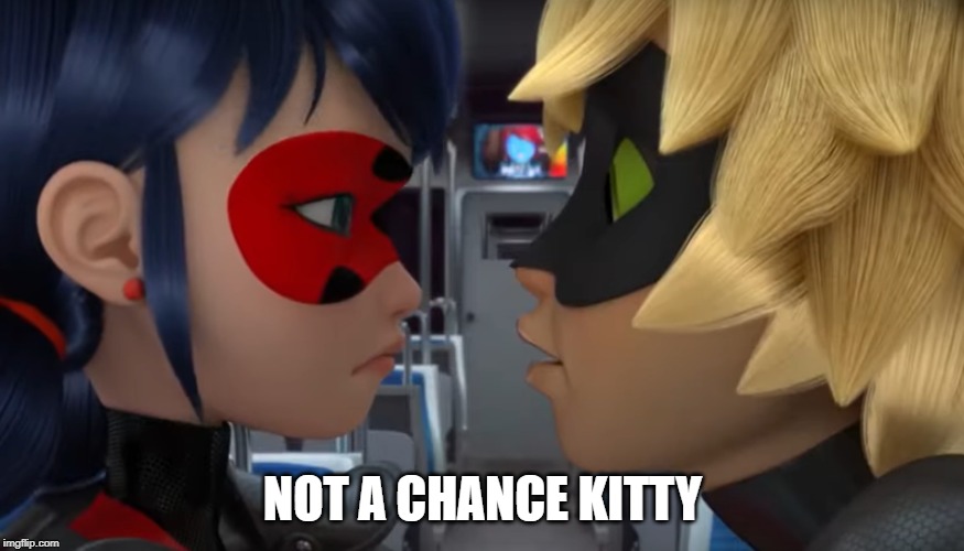 Not A Chance Kitty | NOT A CHANCE KITTY | image tagged in miraculous,miraculous ladybug | made w/ Imgflip meme maker