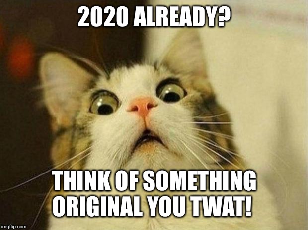 Scared Cat Meme | 2020 ALREADY? THINK OF SOMETHING ORIGINAL YOU TWAT! | image tagged in memes,scared cat | made w/ Imgflip meme maker