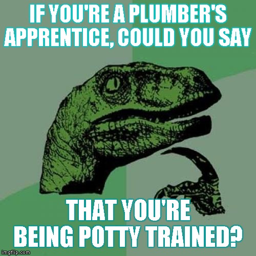 Philosoraptor Meme | IF YOU'RE A PLUMBER'S APPRENTICE, COULD YOU SAY; THAT YOU'RE BEING POTTY TRAINED? | image tagged in memes,philosoraptor | made w/ Imgflip meme maker