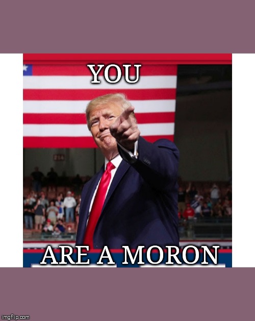 President Trump sends a personal New Year's message to the Democrat's left-wing  Loon base: | YOU; ARE A MORON | image tagged in president trump | made w/ Imgflip meme maker