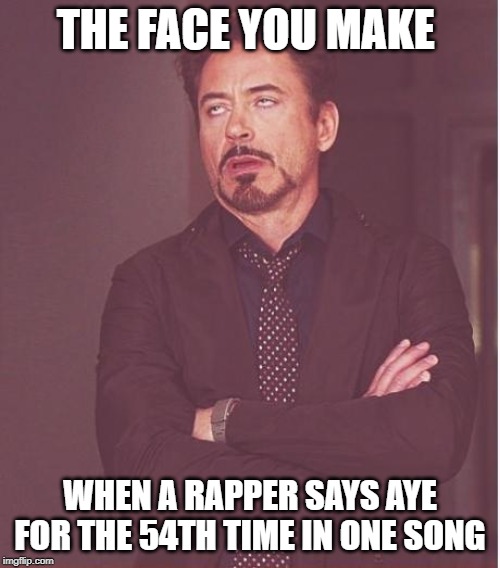 Face You Make Robert Downey Jr Meme | THE FACE YOU MAKE; WHEN A RAPPER SAYS AYE FOR THE 54TH TIME IN ONE SONG | image tagged in memes,face you make robert downey jr | made w/ Imgflip meme maker