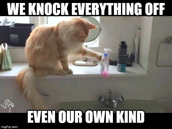 WE KNOCK EVERYTHING OFF EVEN OUR OWN KIND | made w/ Imgflip meme maker