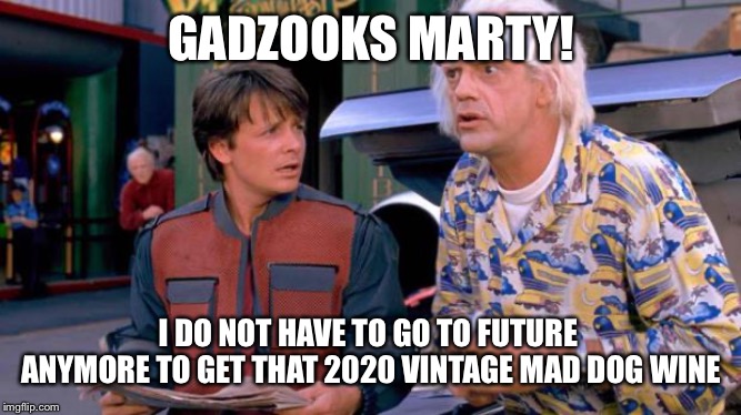 Back to the Future | GADZOOKS MARTY! I DO NOT HAVE TO GO TO FUTURE 
ANYMORE TO GET THAT 2020 VINTAGE MAD DOG WINE | image tagged in back to the future | made w/ Imgflip meme maker