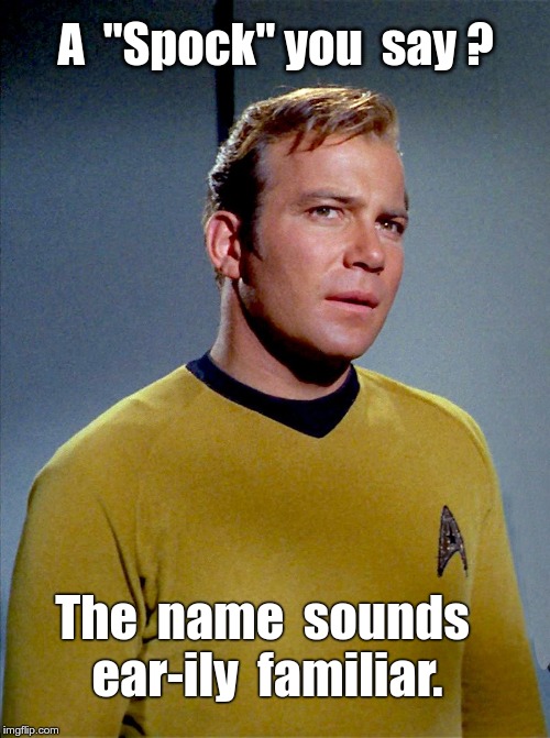 Did Kirk Forget Spock? | A  "Spock" you  say ? The  name  sounds  ear-ily  familiar. | image tagged in thoughtful captain kirk contemplative,mr spock,funny memes,rick75230,star trek | made w/ Imgflip meme maker