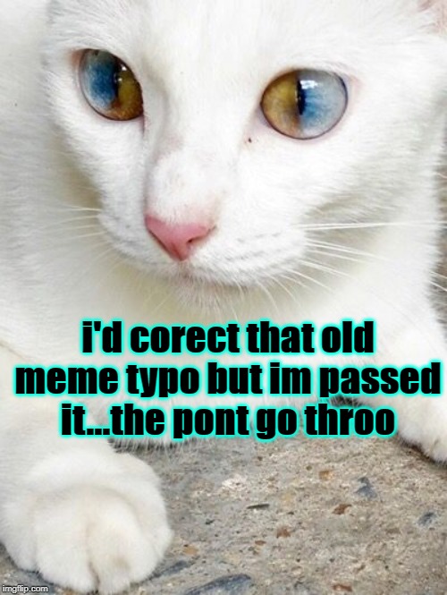 when you're merely a set of eyes to most people but not to mom | i'd corect that old meme typo but im passed it...the pont go throo | image tagged in when you're merely a set of eyes to most people but not to mom | made w/ Imgflip meme maker