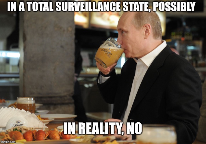 IN A TOTAL SURVEILLANCE STATE, POSSIBLY IN REALITY, NO | image tagged in putin but that's none of my business | made w/ Imgflip meme maker