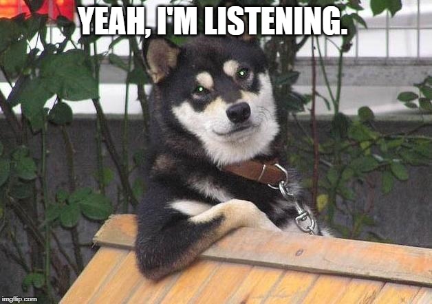 Listening Dog