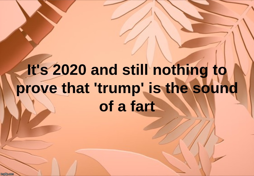 It's 2020 and still nothing to prove that 'trump' is the sound of a fart | image tagged in 2020,donald,trump,fart,year | made w/ Imgflip meme maker